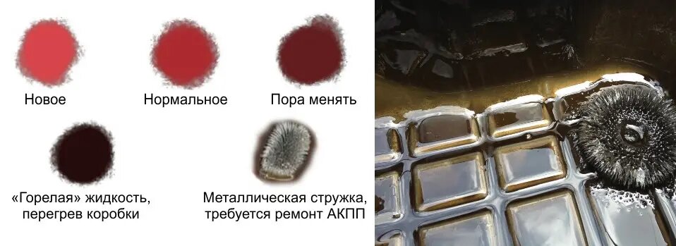 Отличия в периодичности замены для механики и гидромеханики