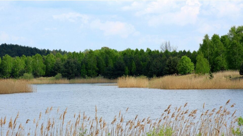    Водоем. Река. Озеро. Источник: pixabay.com