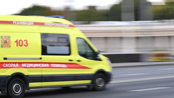    © РИА Новости . Светлана Шевченко