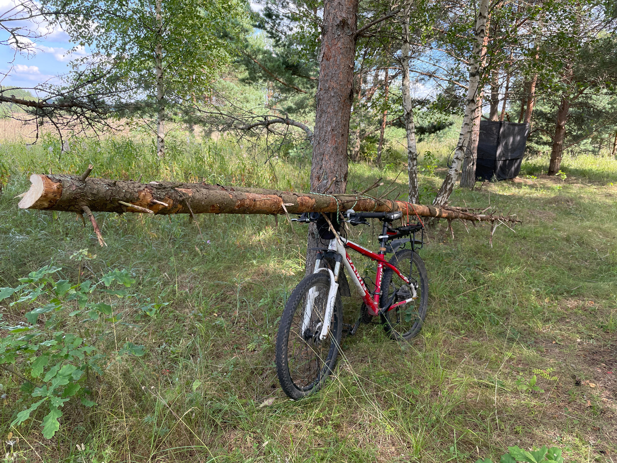 Привозила дрова на велосипеде