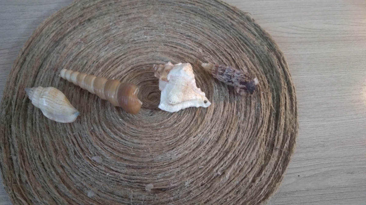 Варианты слева направо.