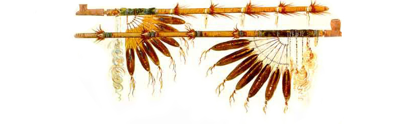 Пара церемониальных калуметов, изображенных Джорджем Кэтлином, середина 19 века.