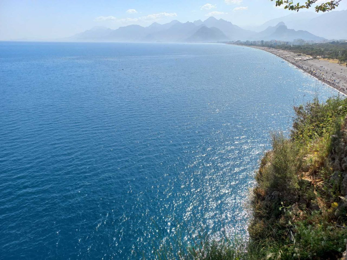 Фото автора.