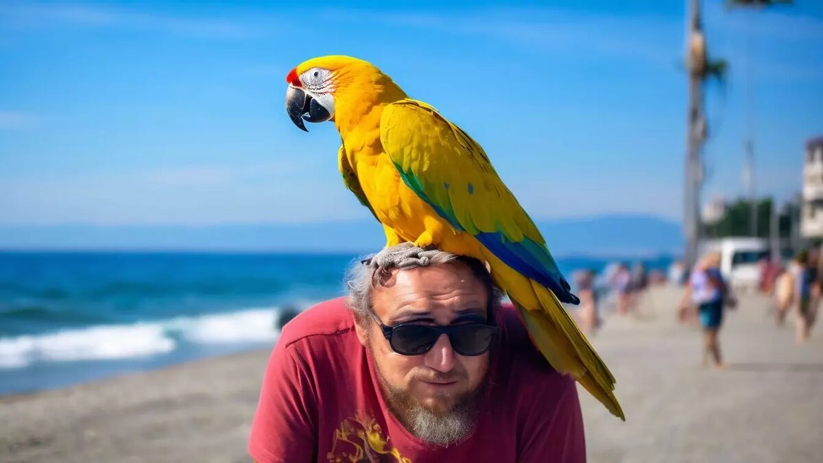     Источник: Шедеврум