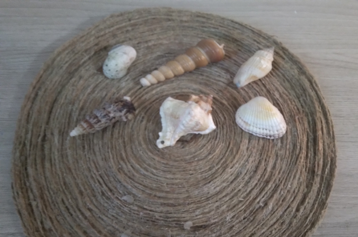 Варианты слева направо