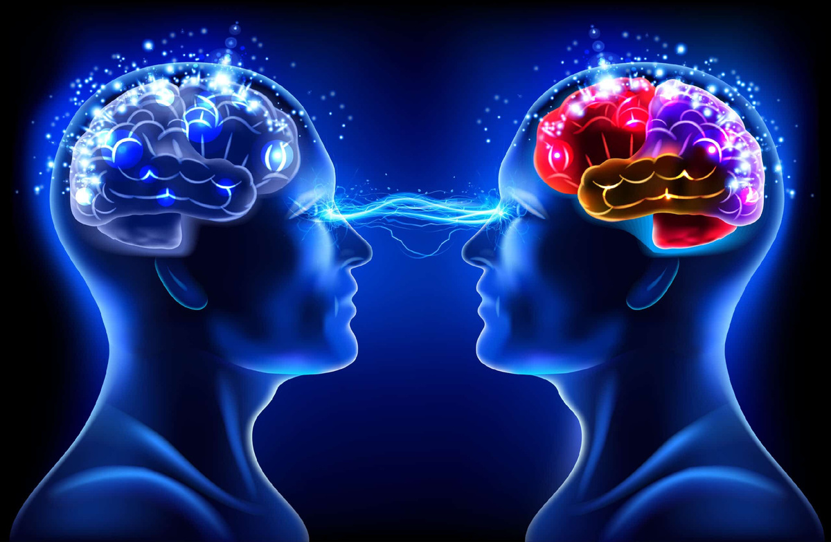 Из открытых источников