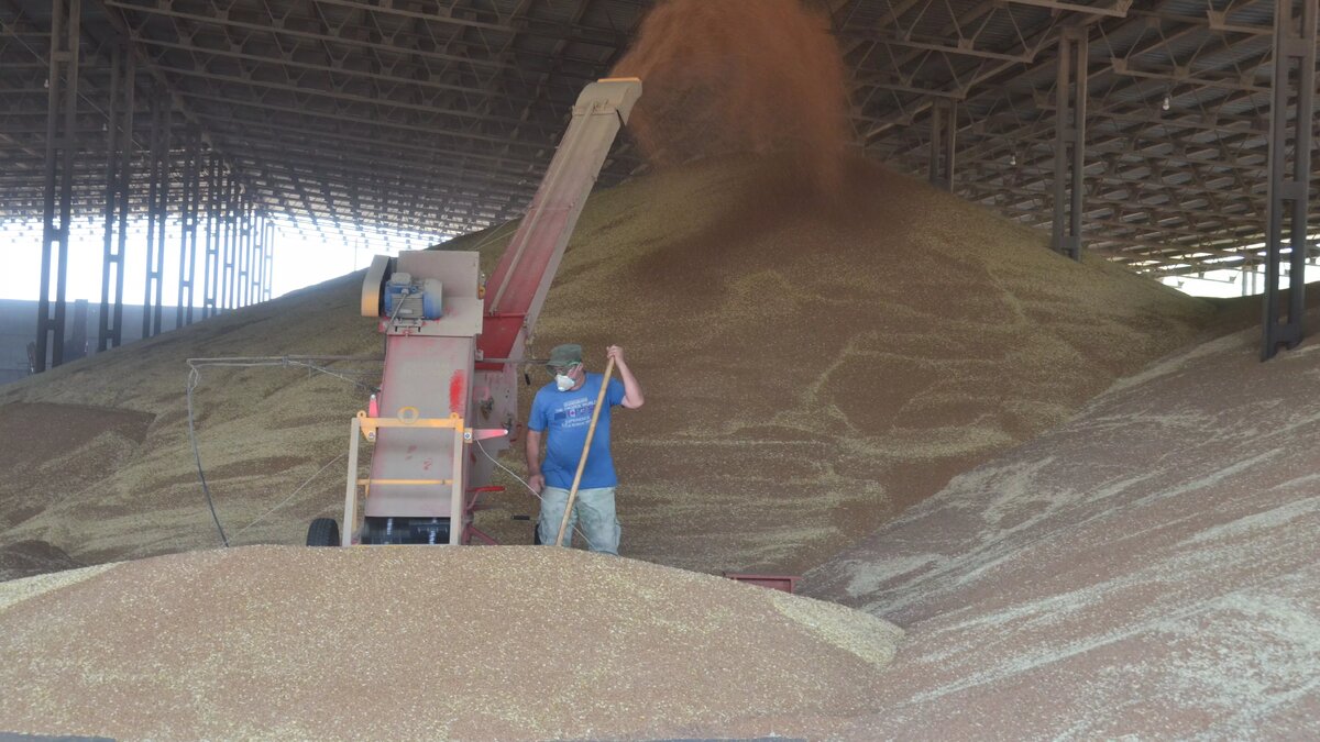     Автор: donland.ru