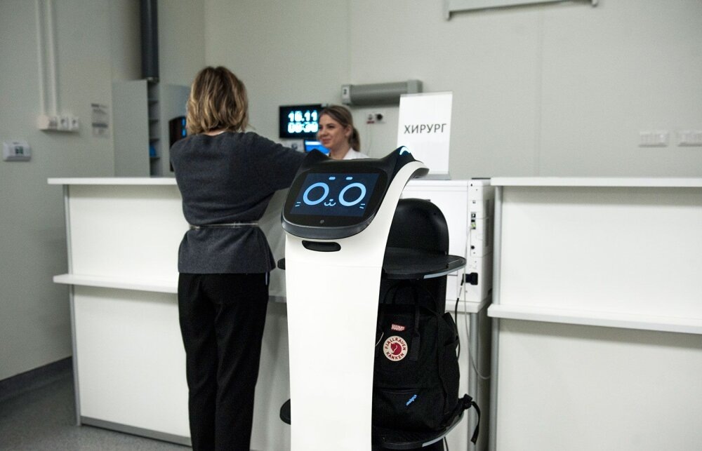 Робокошки. Источник фото: mos.ru (по лицензии Creative Commons Attribution 4.0)