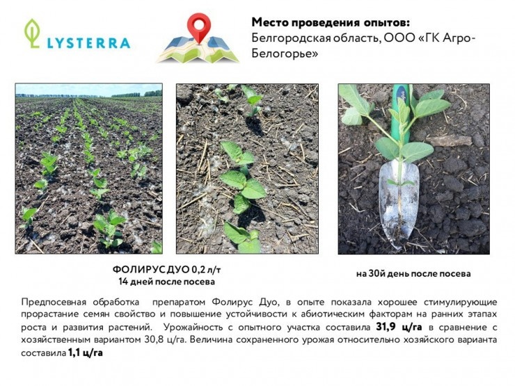 
Фото: Листерра