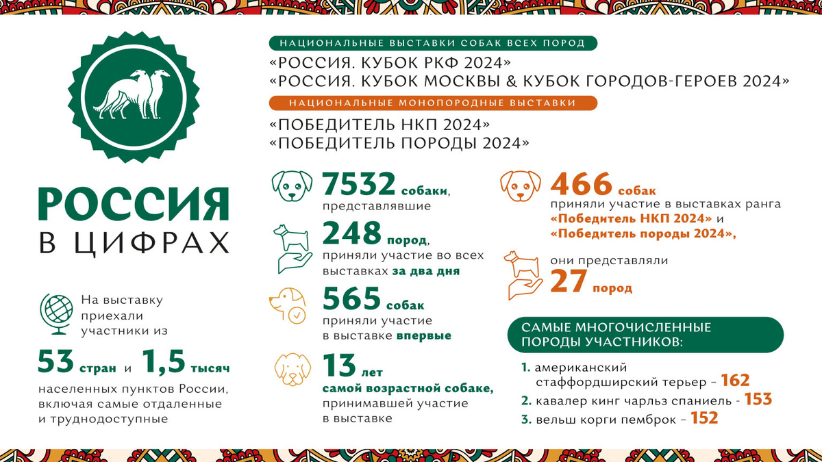 Выставка собак всех пород «Россия 2024» в цифрах