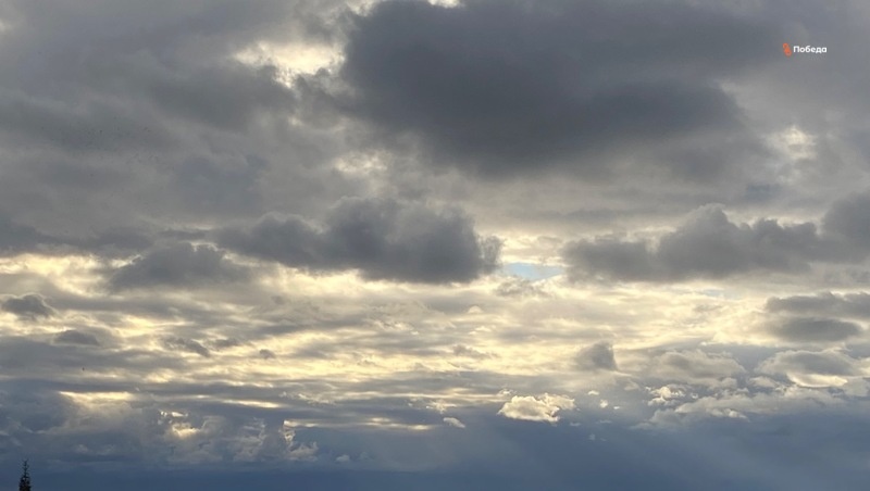      Фото: ИА «Победа26»