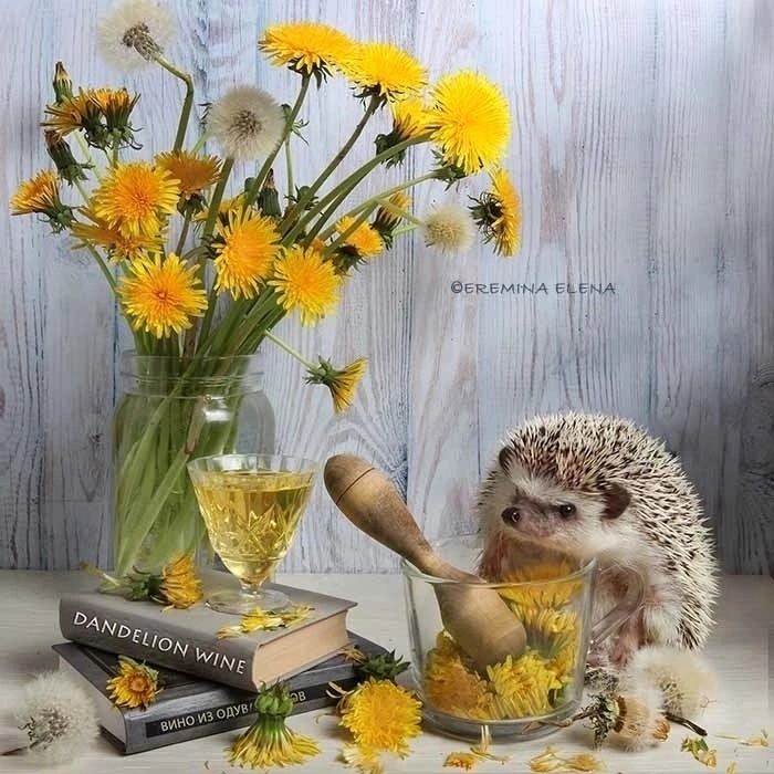 Референс для рисования