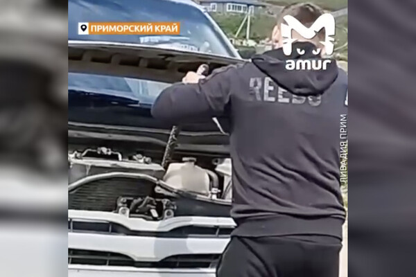 Телеграм-канал Amur Mash