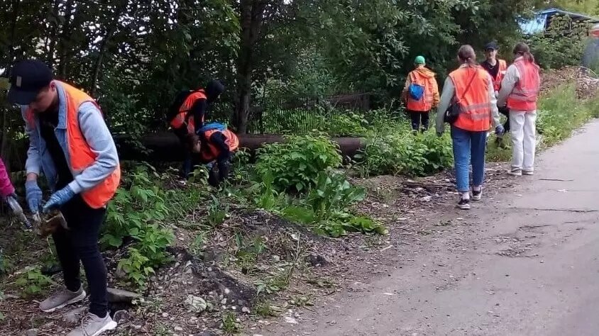 Муниципалитеты привлекают детей к уборке городов и уходу за зелеными насаждениями. Фото: grad.kostroma.gov.ru