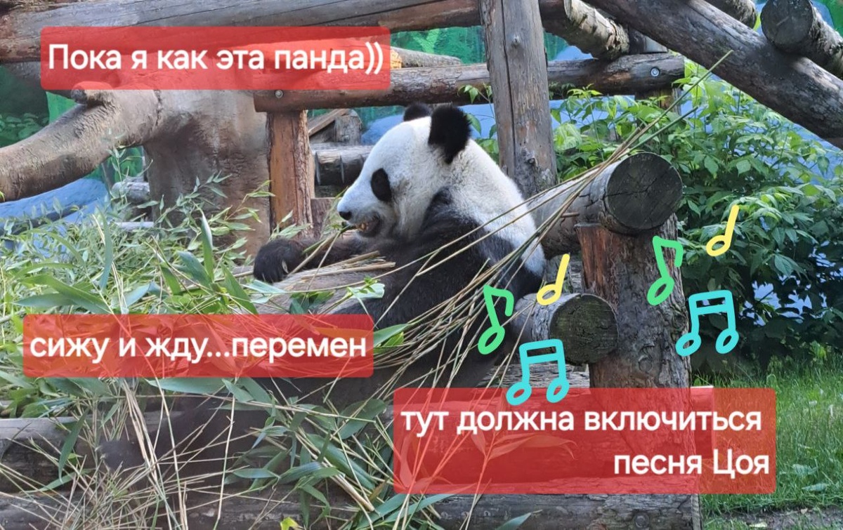 Перемен... требуют наши сердца) Фото с личного архива