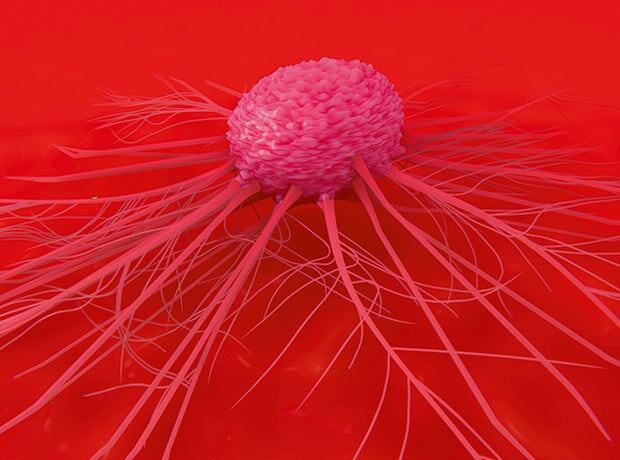 Компания Leuko, основанная исследователями Массачусетского технологического института (MIT)