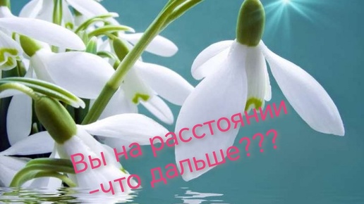 Вы на расстоянии - что он решил, что планирует???