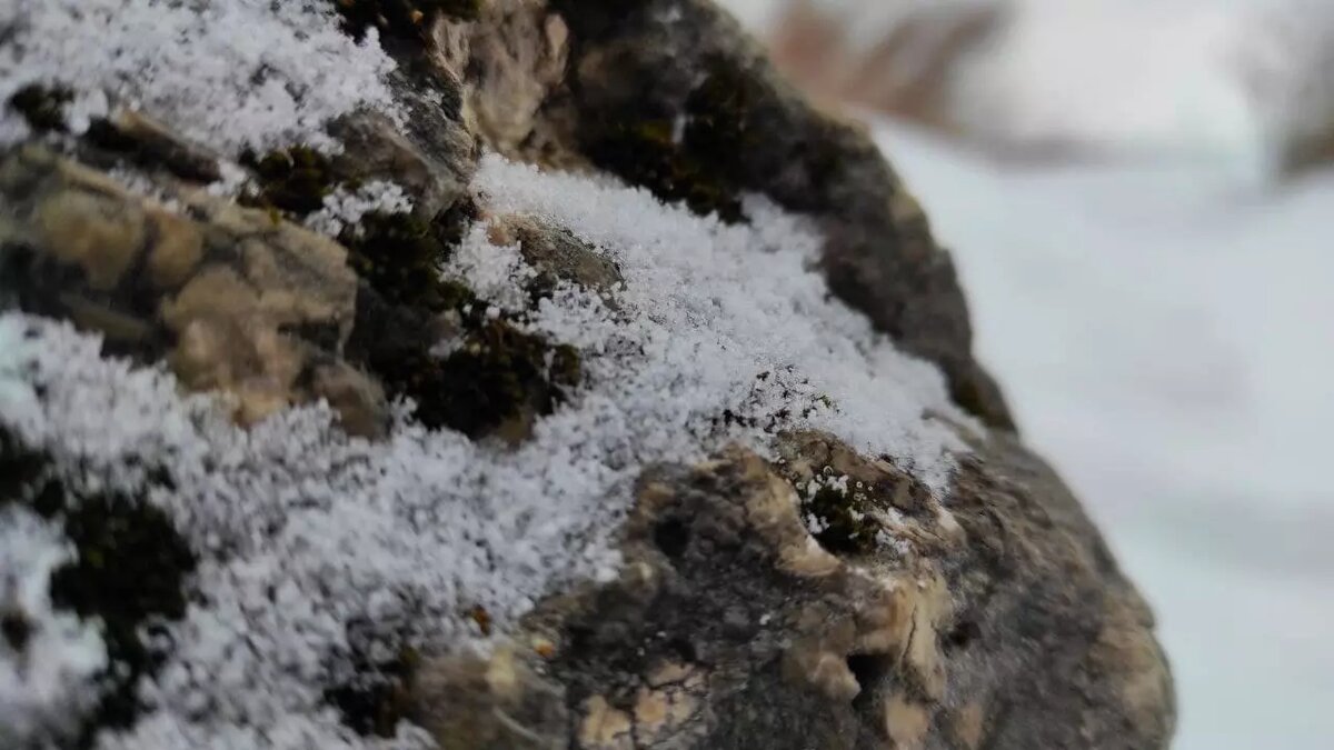     Источник: inkazan.ru