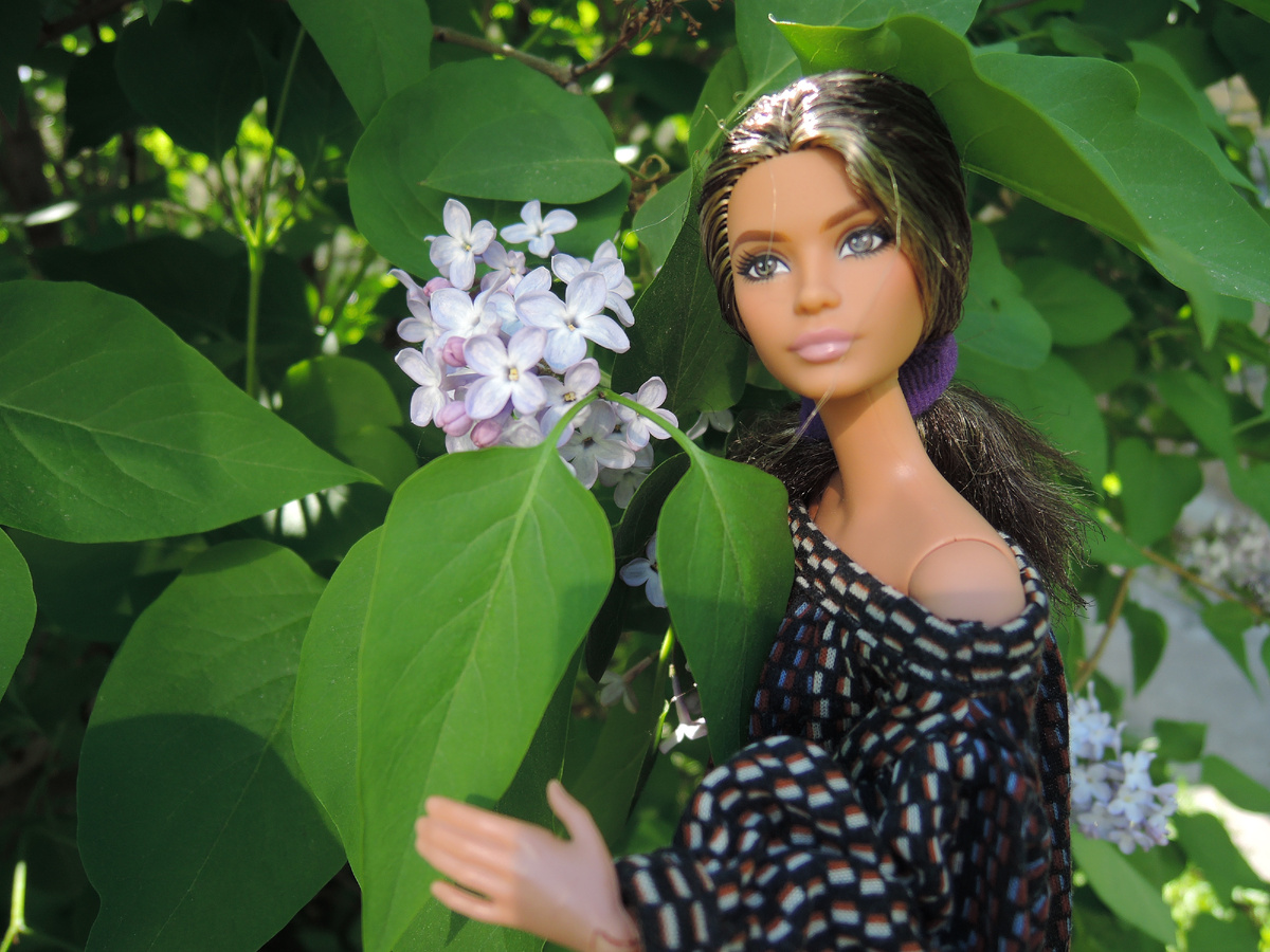 Лина Лукс в кустах сирени