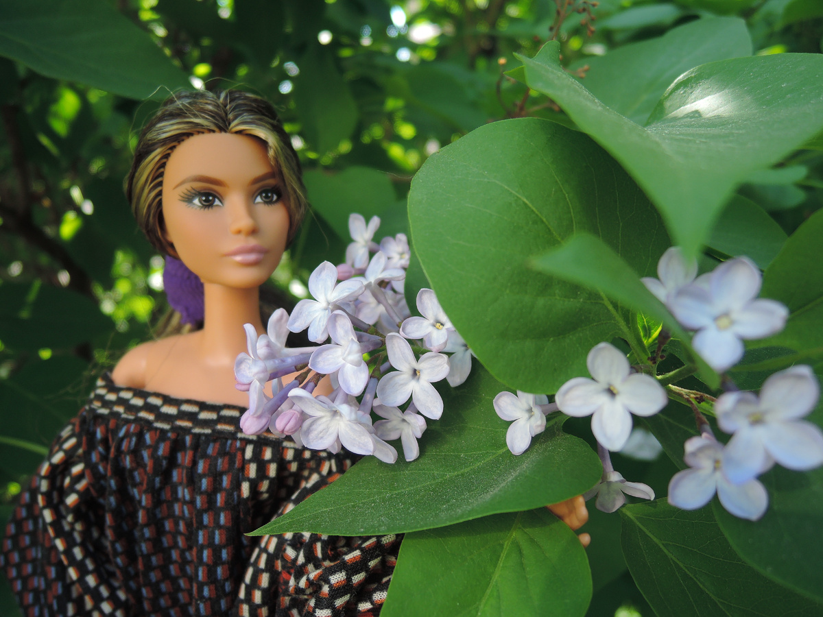 Лина Лукс и сирень