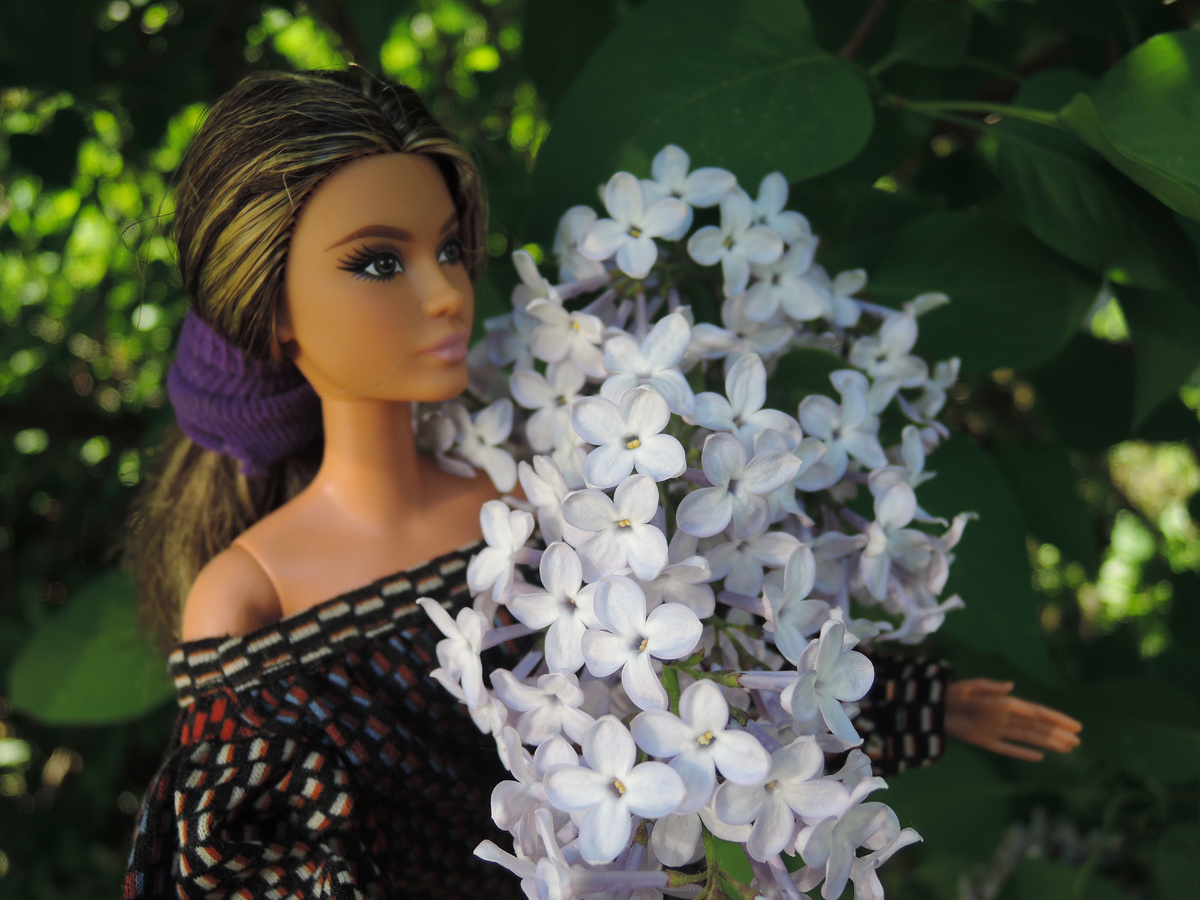 Barbie Looks Lina и сирень