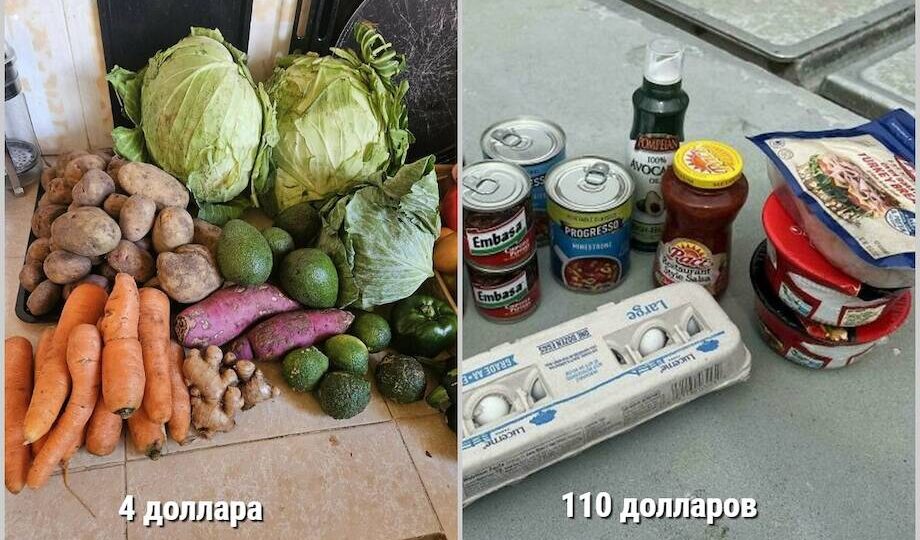 От Аляски до России: 14 человек показали, сколько стоят продукты там, где они живут