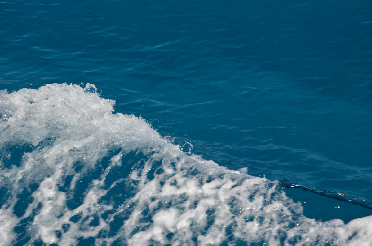 Фото автора статьи