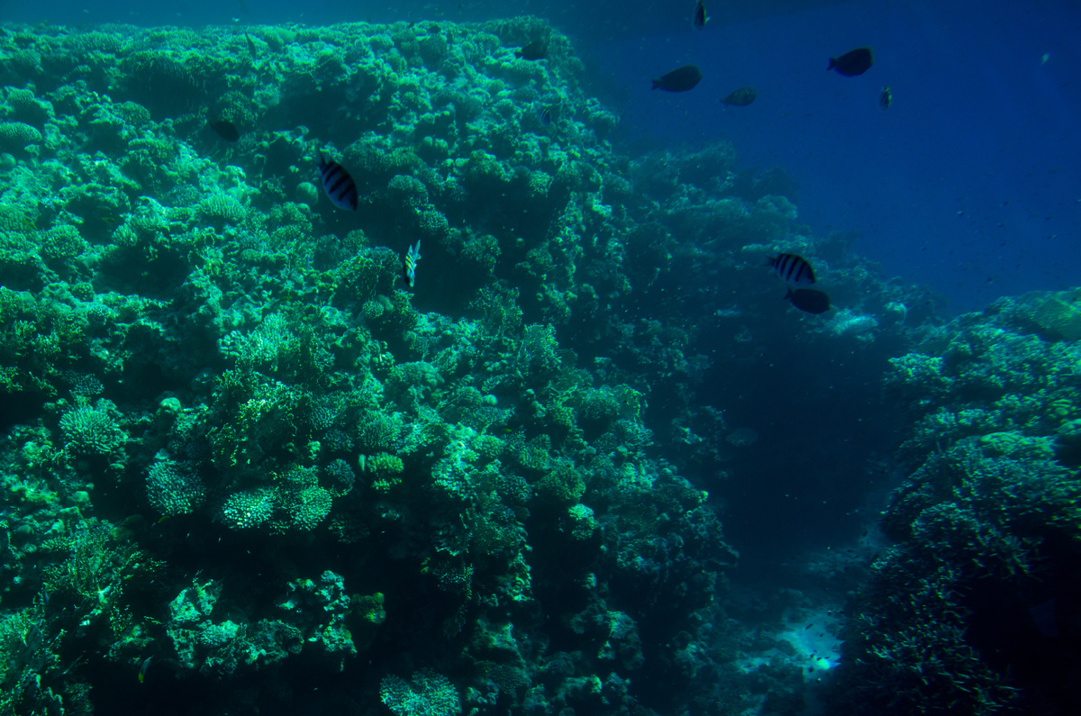 Фото автора статьи