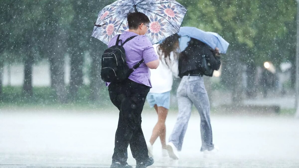     Источник: Сергей Булкин/ТАСС