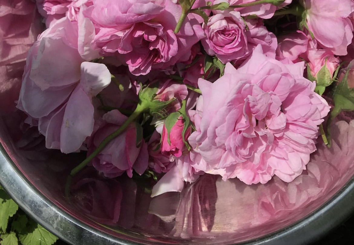 Фото из запрещенной сети