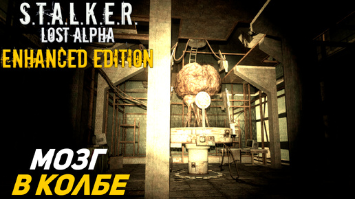 МОЗГ В КОЛБЕ ➤ S.T.A.L.K.E.R. Lost Alpha Enhanced Edition #30