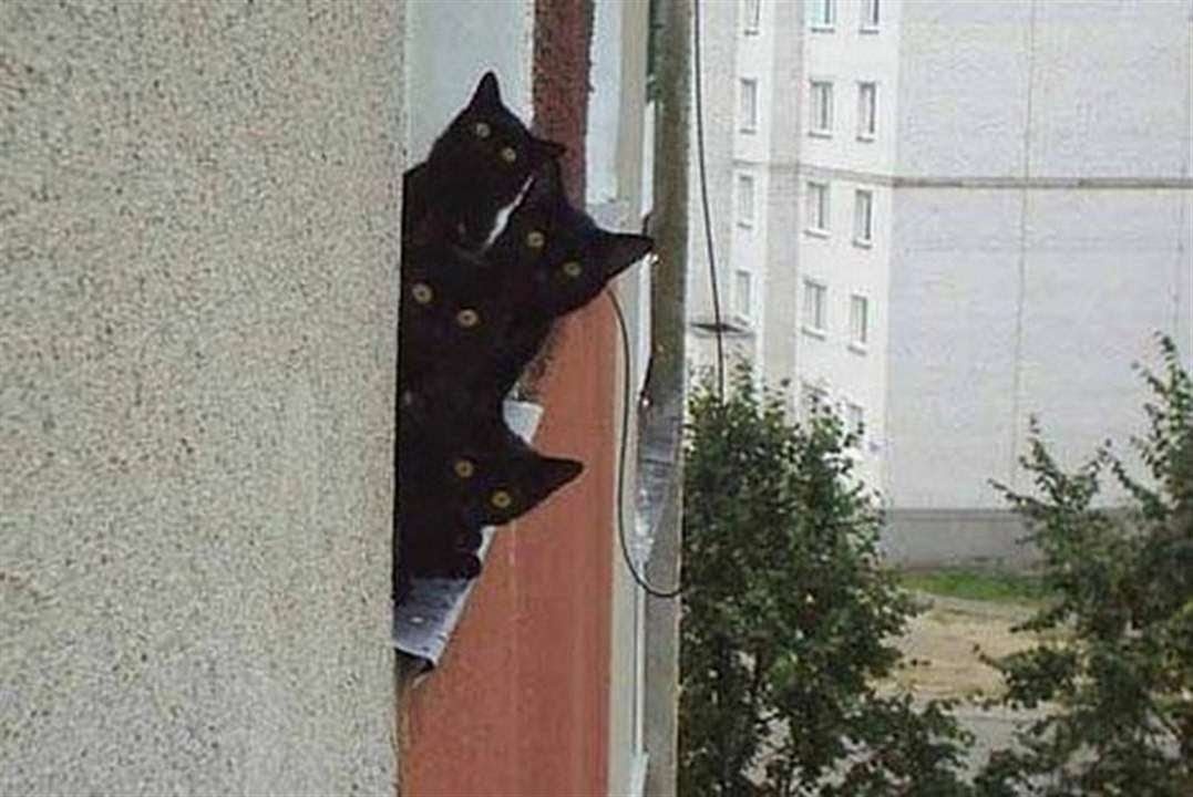 источник Яндекс-картинки