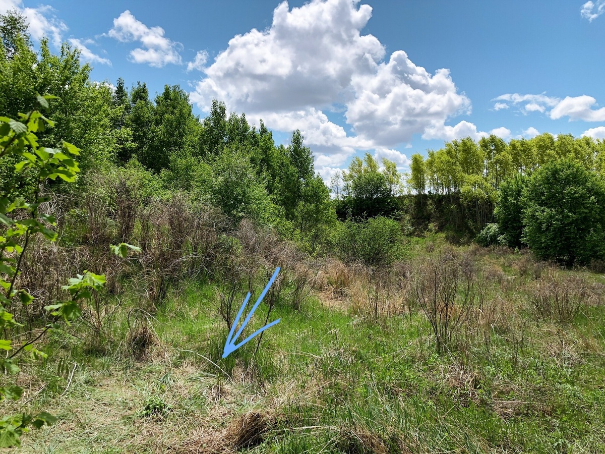 Где стрелочка, стояла моя палатка