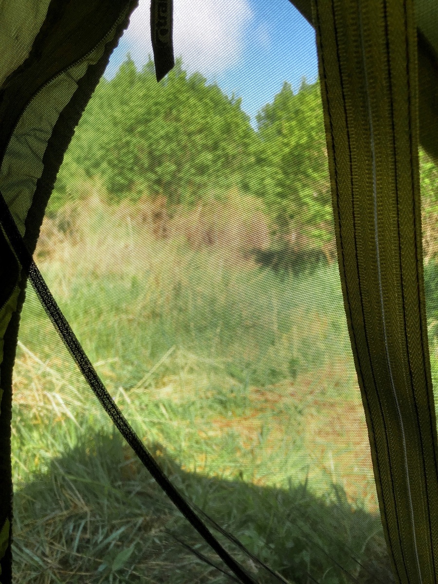 Вид из палатки