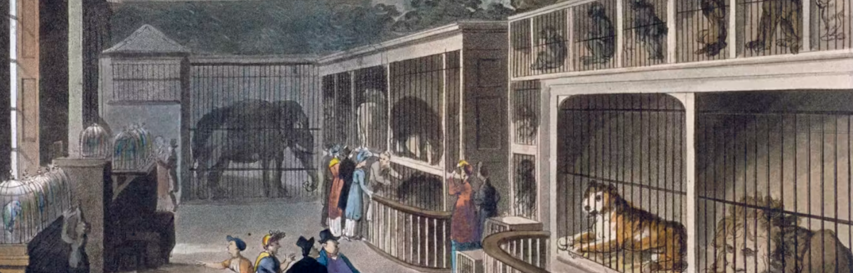 Вид на интерьер Королевского зверинца Полито, Эксетер Чейнд, Стрэнд, Вестминстер, Лондон, 1812 г.