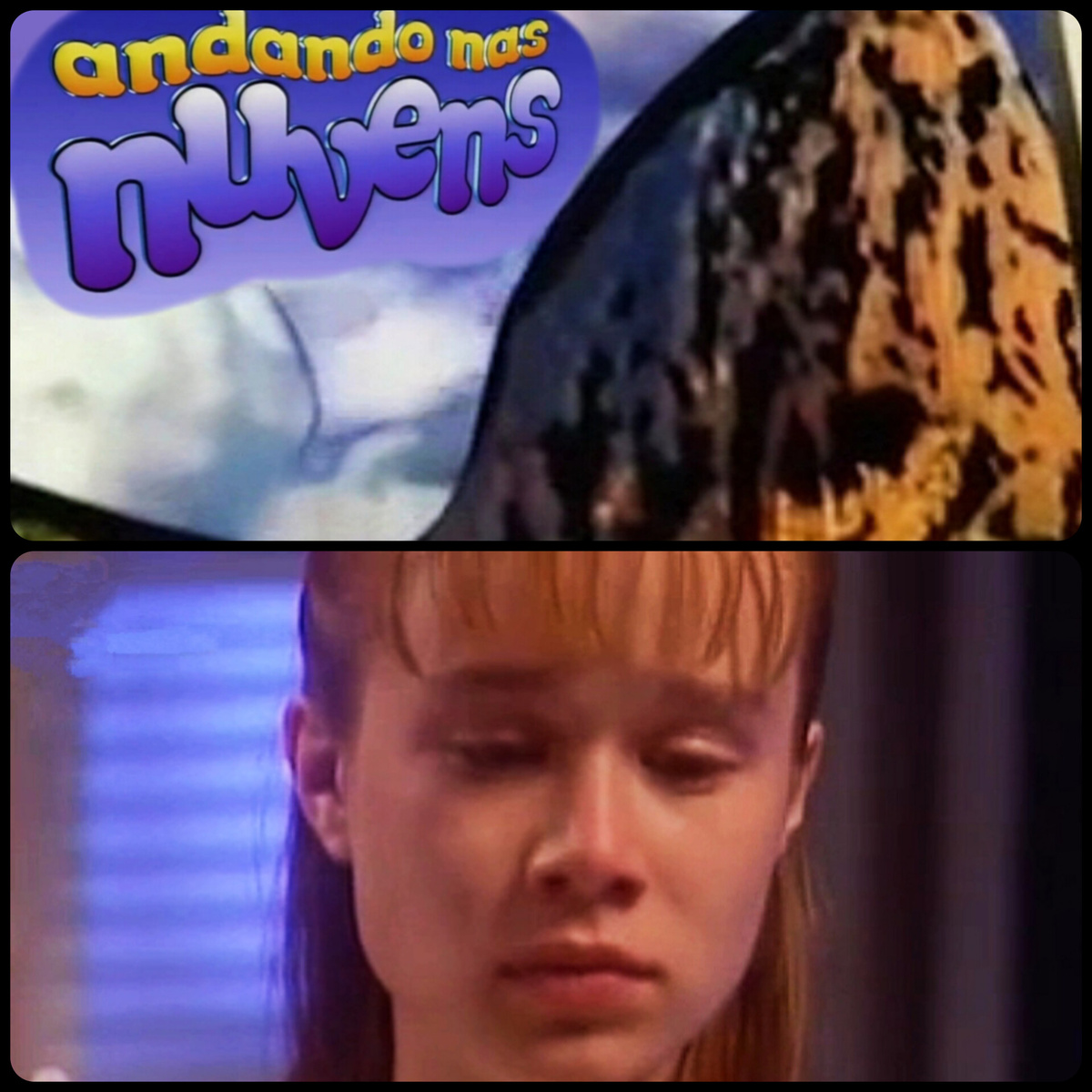 Коллаж автора 