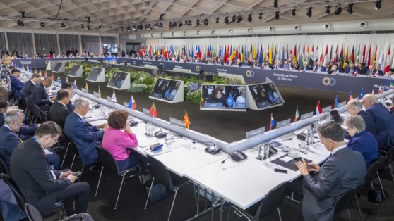    Ушаков: конференция по Украине ничего не принесла, и Запад это понимает Алина Городниченко