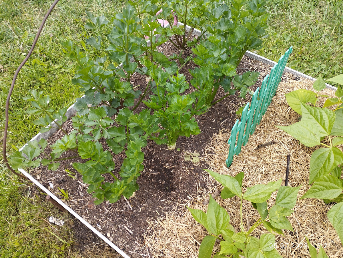 Заборчики и палки-штыри