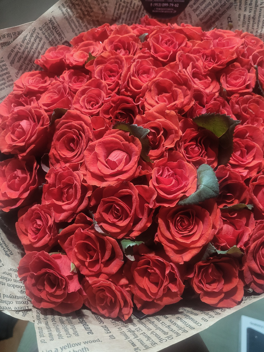 Фото автора.15.06.24г.