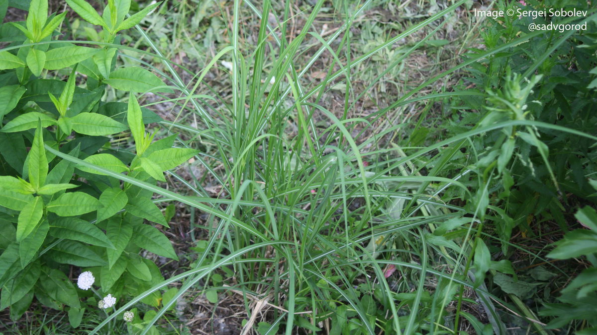 Фото с того же ракурса сделано в июне 2024 г.