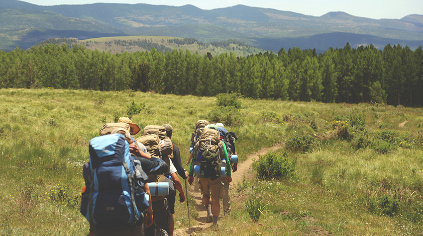 Фото: Austin Ban / Unsplash / в иллюстративных целях