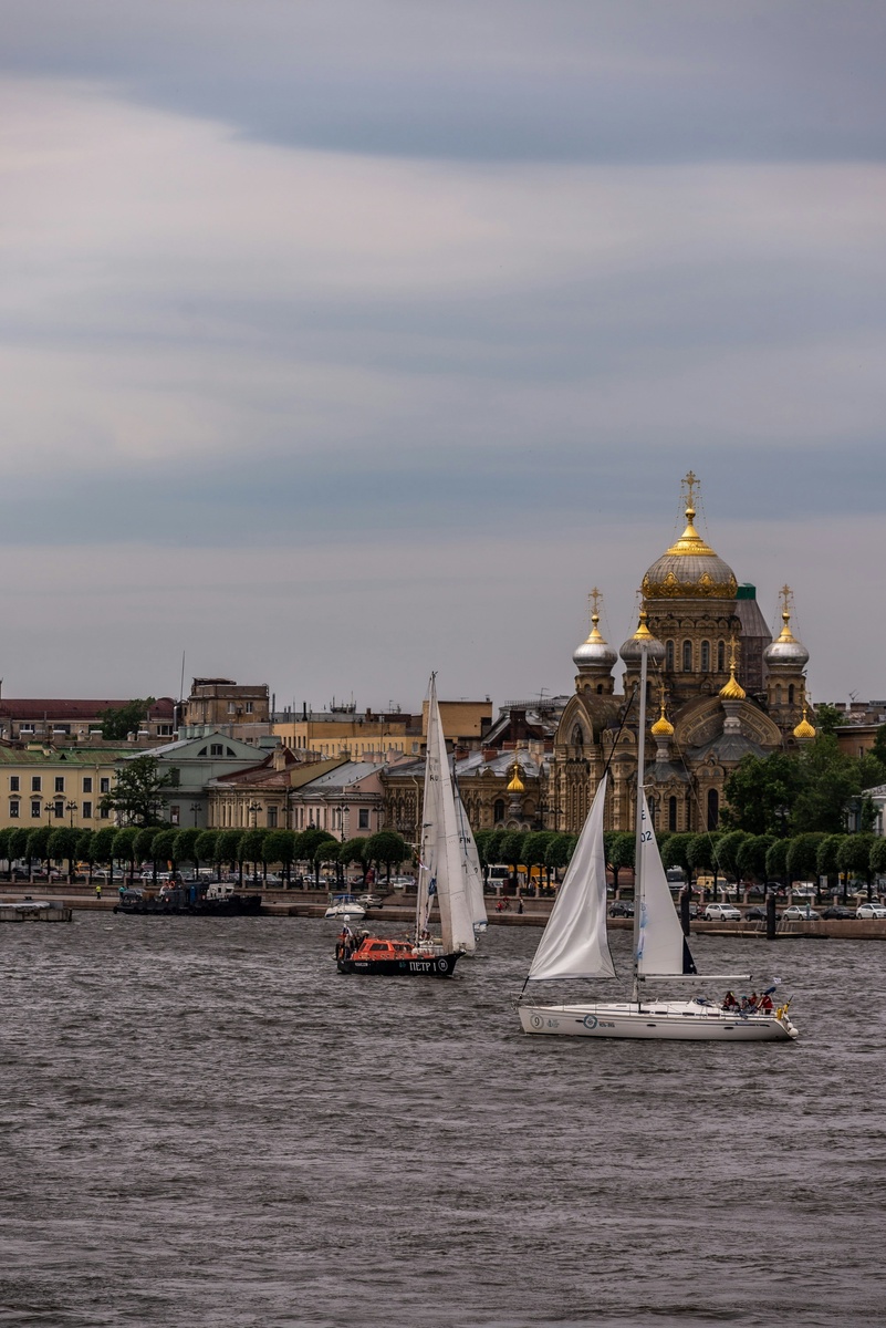 Изображение из открытого доступа для официального канала https://dzen.ru/pabloalloh