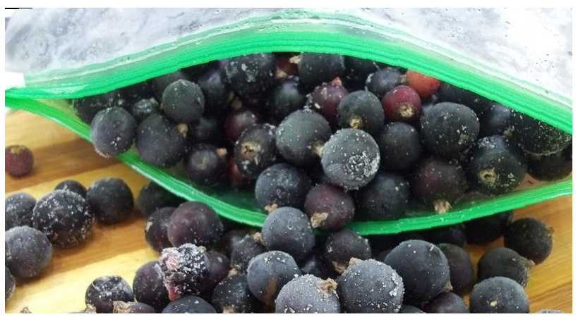 Поэтому перед заморозкой необходимо расфасовать смородину в пакетики. Положить столько, сколько сможете съесть за один раз.