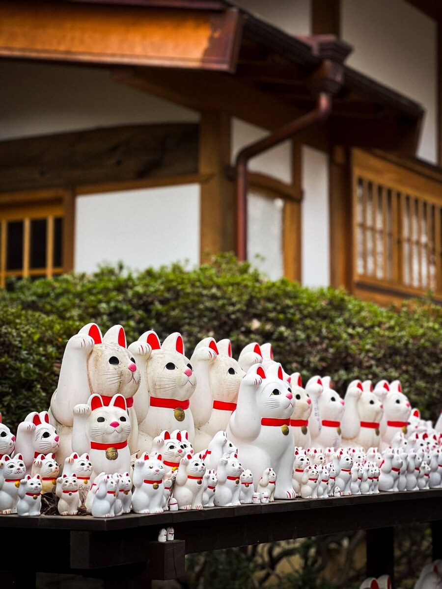 Котейки явно уже давно стоят и есть запрет оставлять купленные фигурки