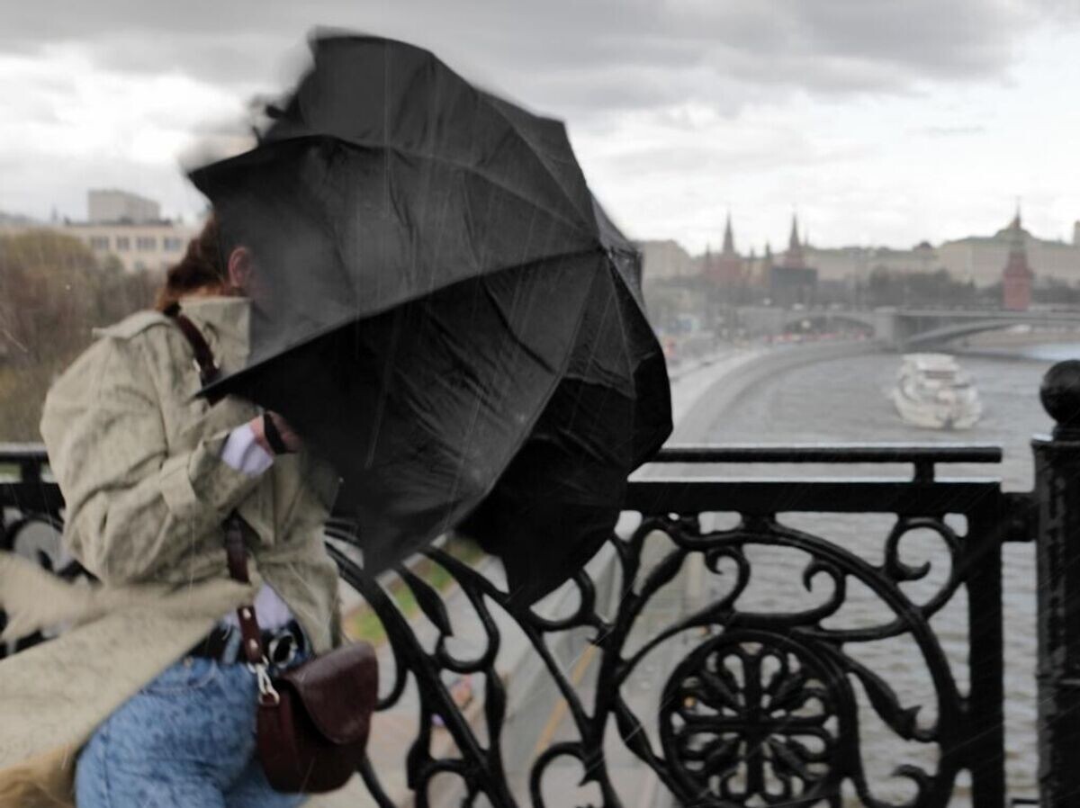    Шквалистый ветер и ливень в Москве© РИА Новости / Сергей Пятаков