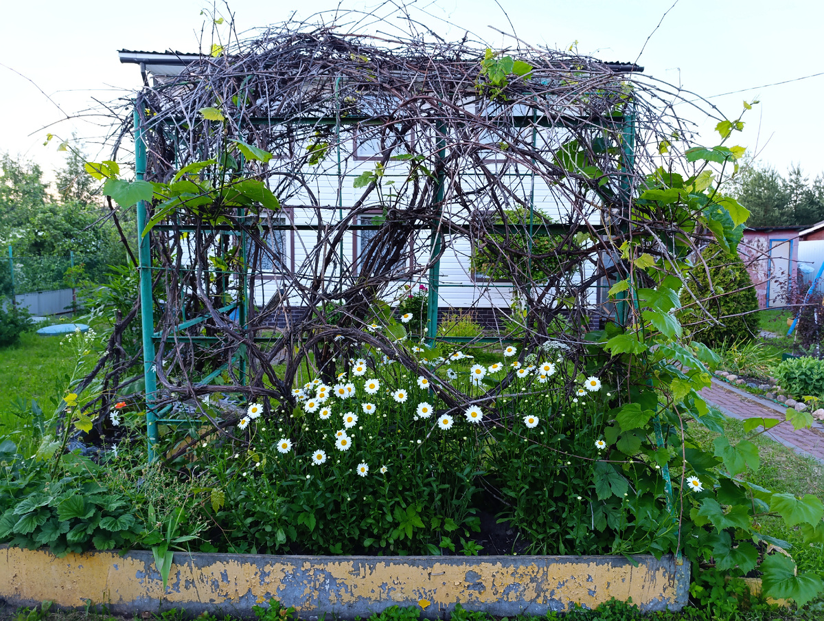 Все фото авторские! 