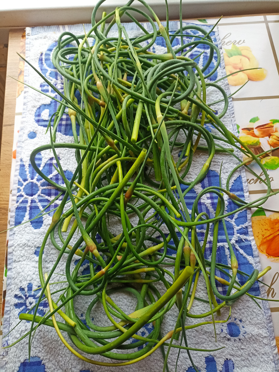 Стрелки должны быть сухими