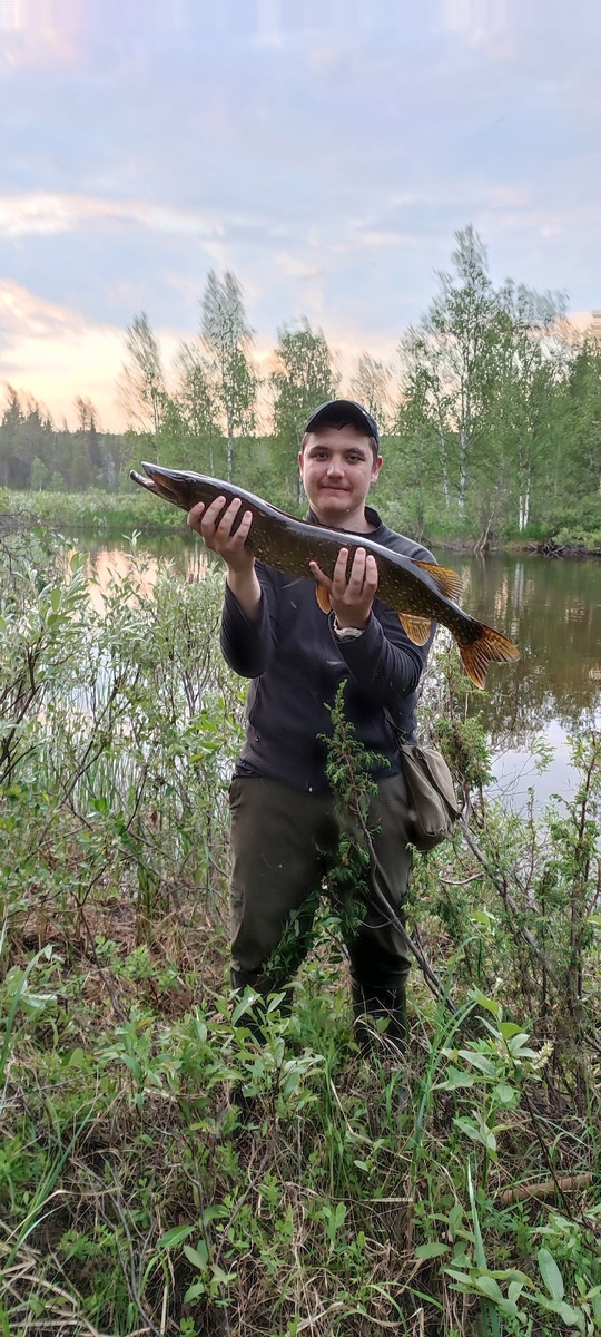 Фото с Кольского полуострова