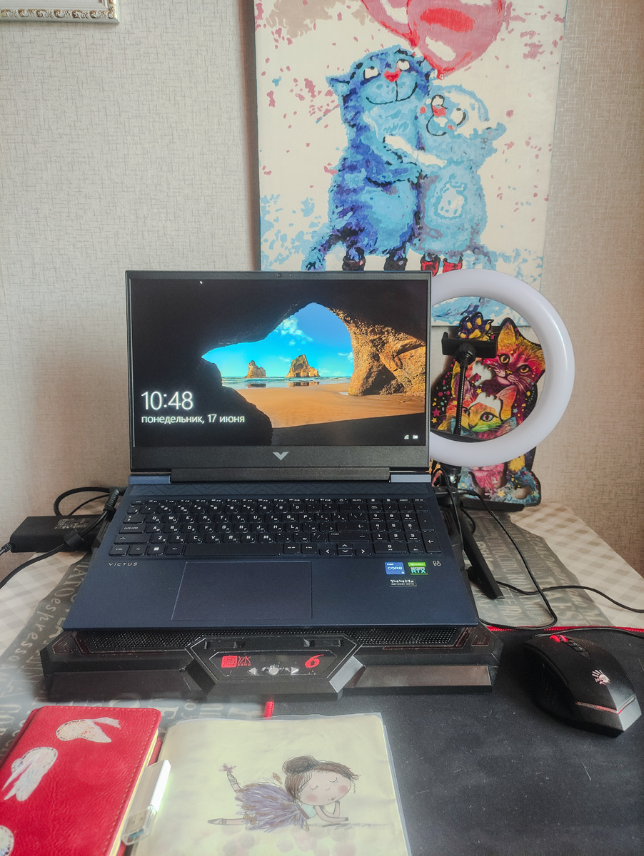 Рабочее место "удаленщика"