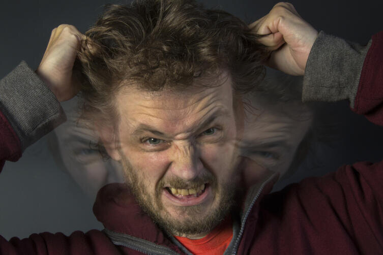    Фото: Steve Allen, по лицензии shutterstock.com